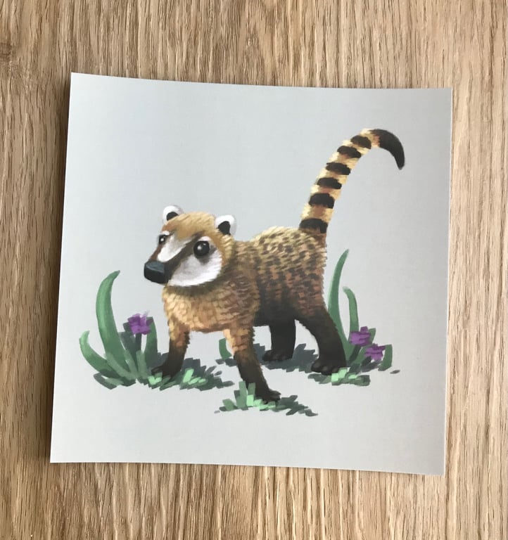 Coati Square Post Card Print