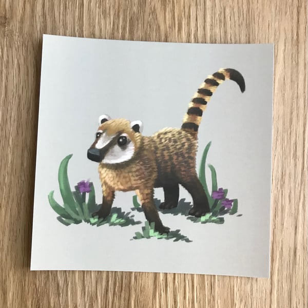 Coati Square Post Card Print