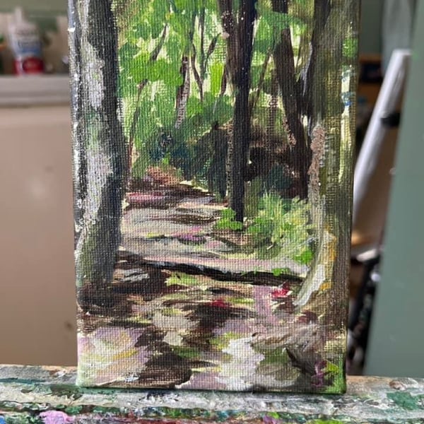 Woodland Path Anglesey Abbey