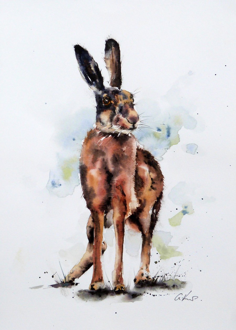 Hare, Original Watercolour Painting.