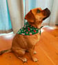 Christmas dog bandana,  dogs in Christmas jumpers, Merry Woofmas! from 4.00 - Image 8