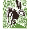 The Black Hare poster-print