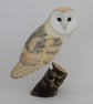 Barn owl - Image 1