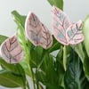 Set of 5 Ceramic Leaf Planter Decorations