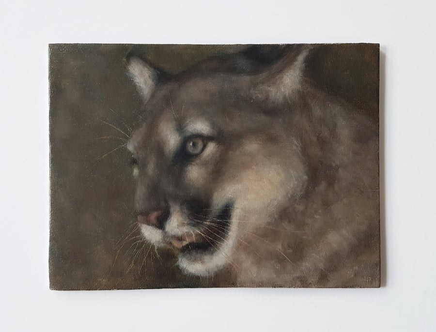 Cougar Oil Painting - Original Wildlife Art on Canvas (6x8) - Big Cat Artwork 