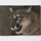 Cougar Oil Painting - Original Wildlife Art on Canvas (6x8) - Big Cat Artwork 