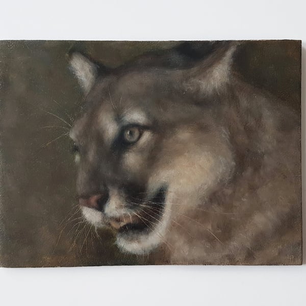 Cougar Oil Painting - Original Wildlife Art on Canvas (6x8) - Big Cat Artwork 