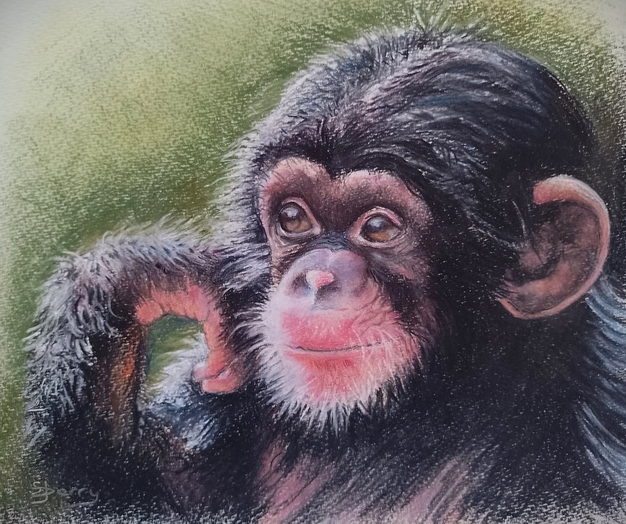 Quiet Contemplation Print