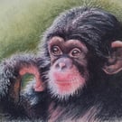 Quiet Contemplation Print