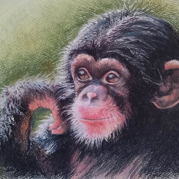 Quiet Contemplation Print