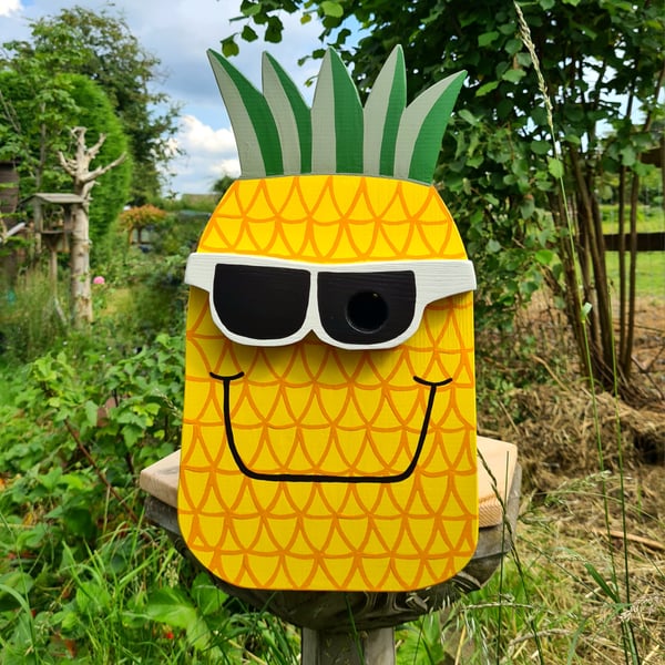 Pineapple Bird Box