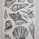 Multi Shell Lino Print (Black)