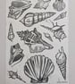 Multi Shell Lino Print (Black) - Image 1