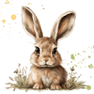 Print of a cute baby hare for a child's nursery