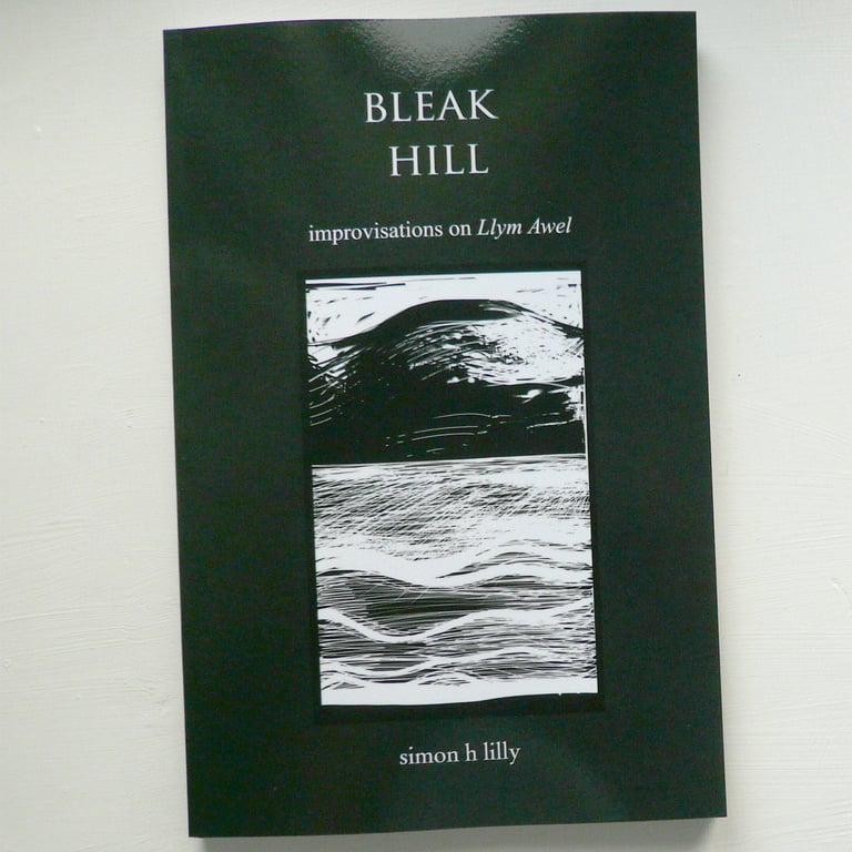Bleak Hill - New Small Paperback Version