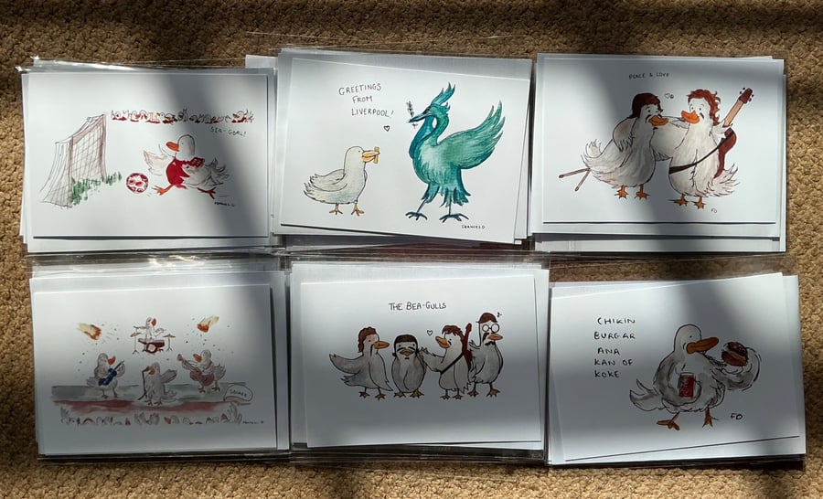 Silly Seagulls greetings cards