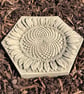 Stepping Stones, Insect Drinkers, Setof 5 - Image 3