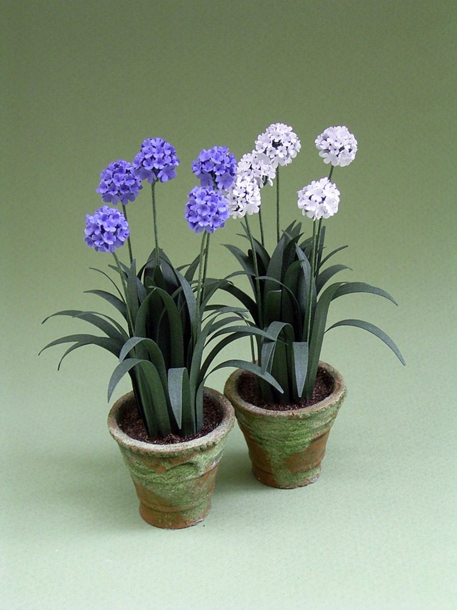 DIY Agapanthus paper Flower Kit for 12th scale Dollhouses