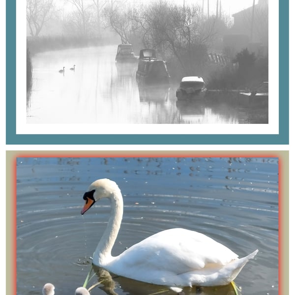 Pack of 2 A5 Greeting Cards Swans & Boats 