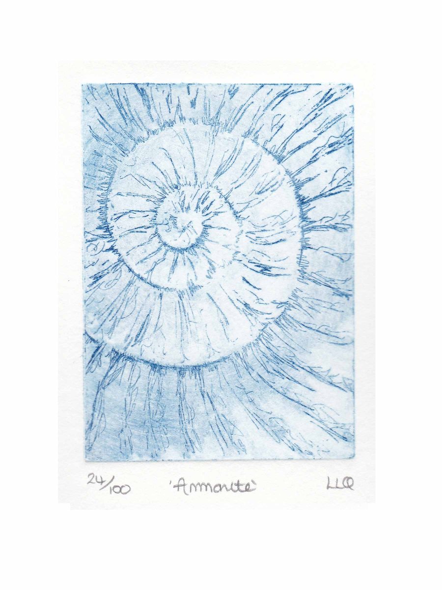 Etching no.24 of an ammonite fossil in an edition of 100