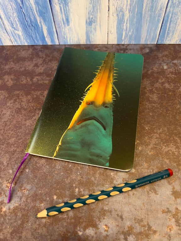 Notebook, Marine themed, A5 (ish), made from up-cycled and recycled materials.