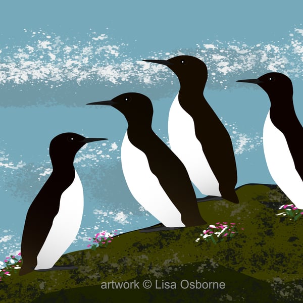 Guillemots - bird art print - coastal birds