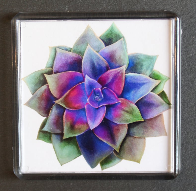 PERFECTLY IMPERFECT Echeveria Magnet