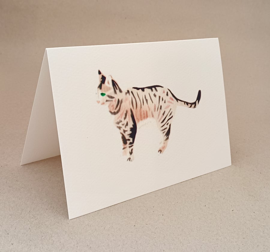 Tabby and white Cat handmade card blank inside
