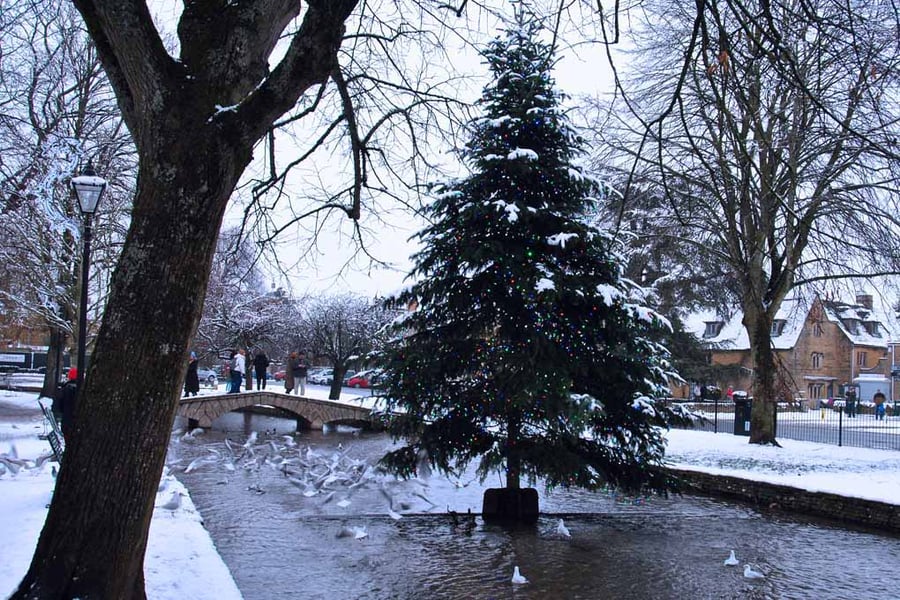 Bourton On The Water Christmas Tree Photograph Folksy
