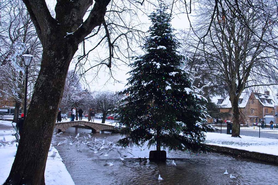 Bourton On The Water Christmas Tree Photograph Print