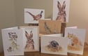 Card Collections