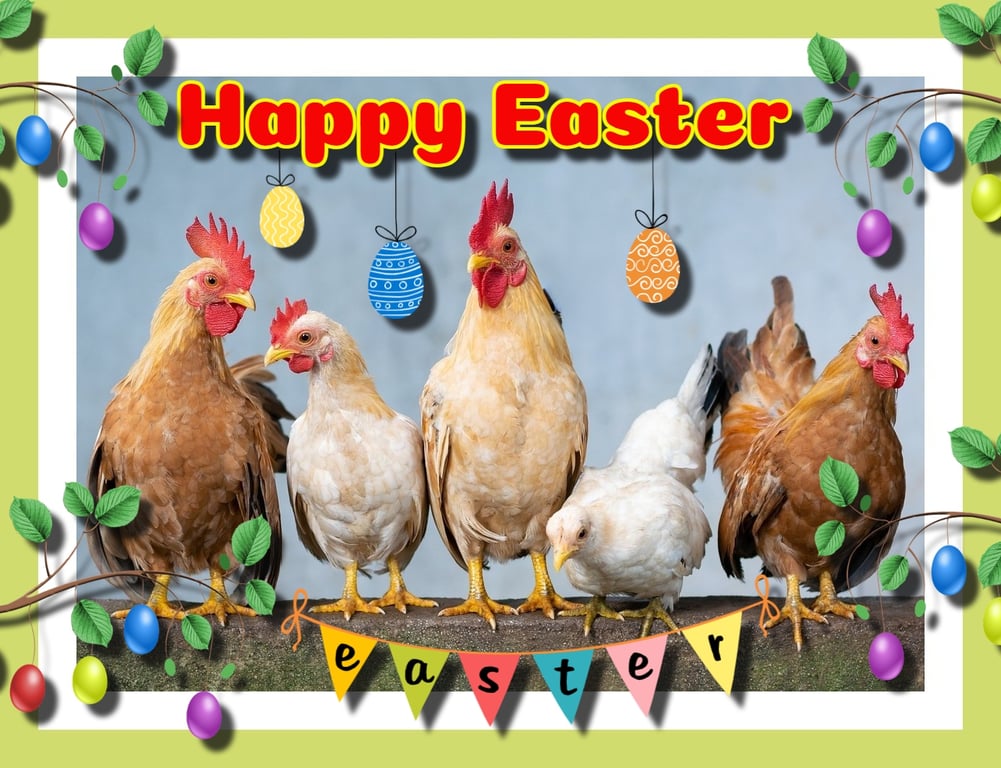Chickens Easter Greeting Card A5 Size 