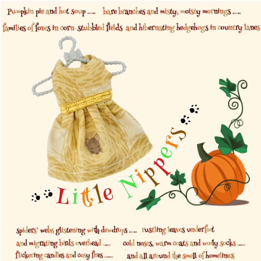 Reduced - Little Nippers’ Harvest Mouse Dress