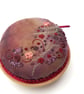 Pincushion. Hand Embroidered & Hand dyed Pin cushion on Oak Base  - Image 4
