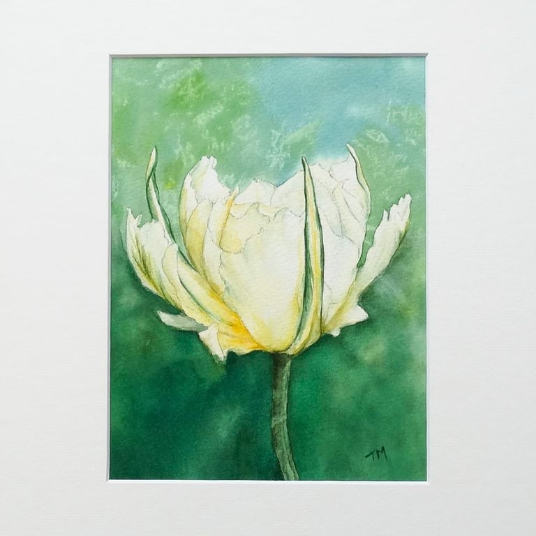 Original Watercolour Painting Floral Tulip Art