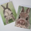 Rabbit Card x2