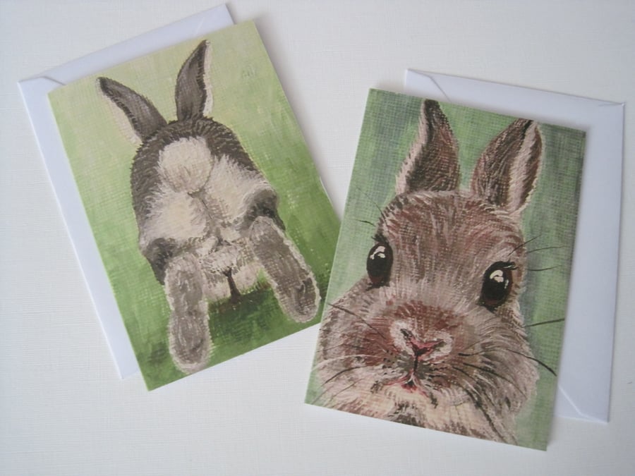 Rabbit Card x2