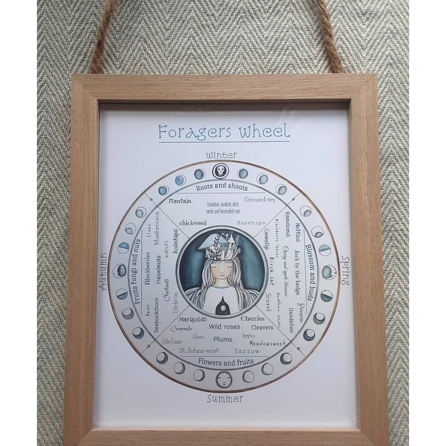 Foragers wheel chart framed