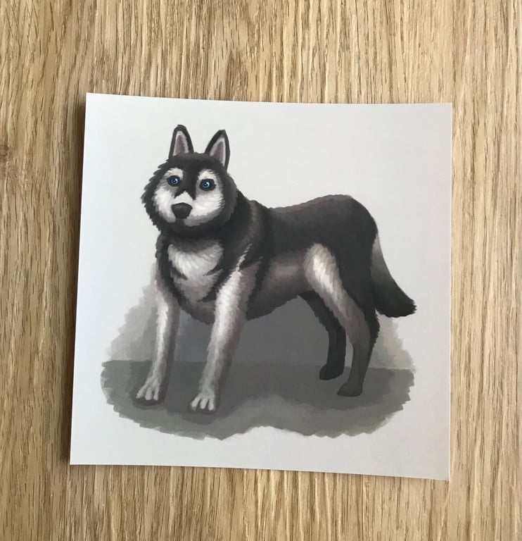 Husky Square Post Card Print