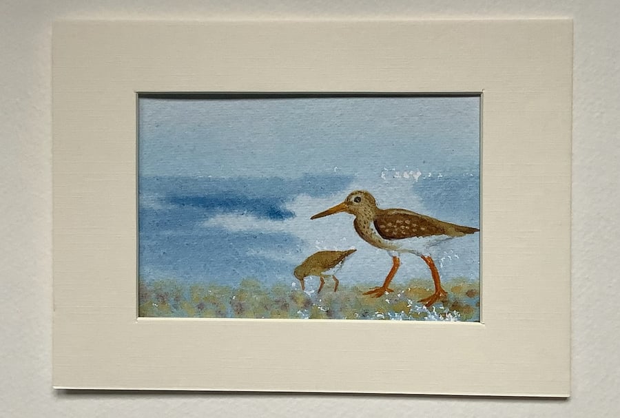 Redshank on the Shore original painting 