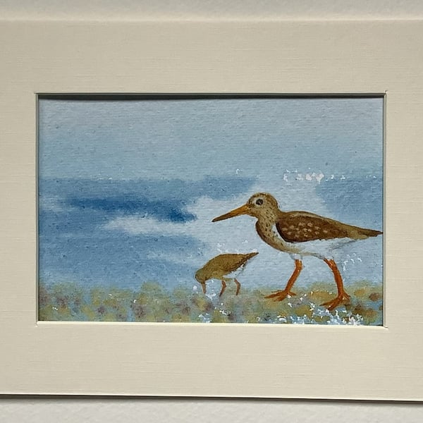 Redshank on the Shore original painting 