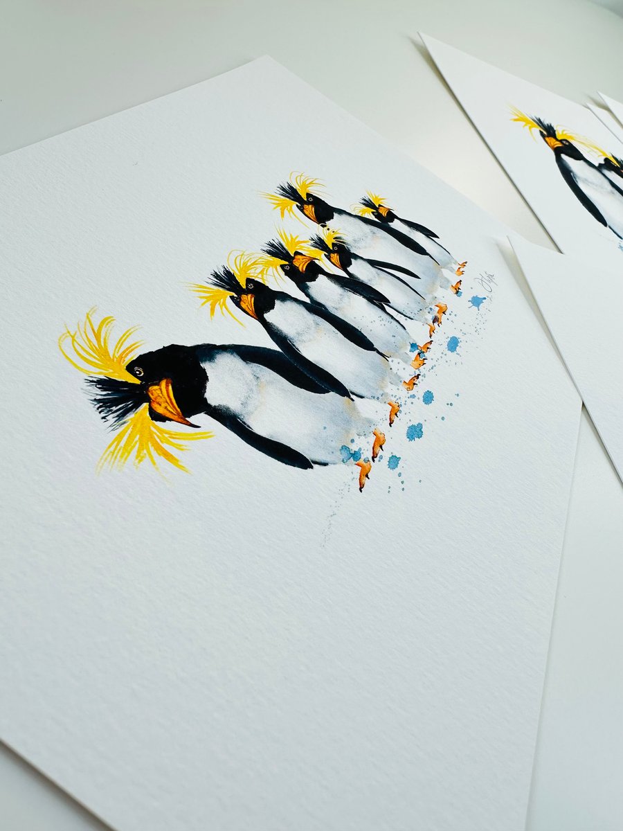 Watercolour Print Rock Hopper Penguins The Curious Crew