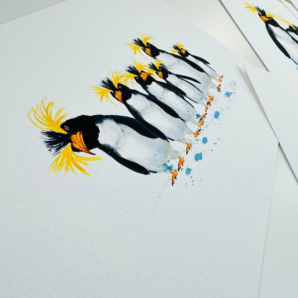 Watercolour Print Rock Hopper Penguins The Curious Crew