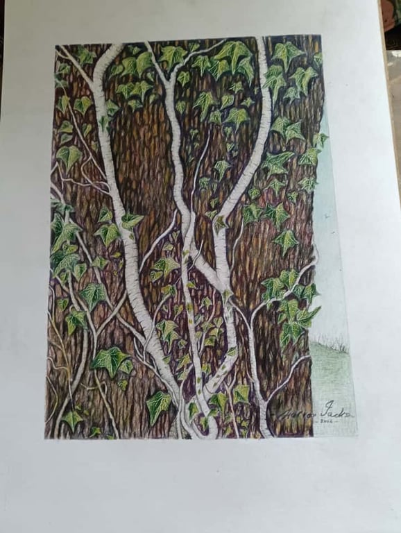 TWISTED IVY STEMS - Colour pencil drawing