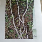 TWISTED IVY STEMS - Colour pencil drawing