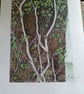 TWISTED IVY STEMS - Colour pencil drawing