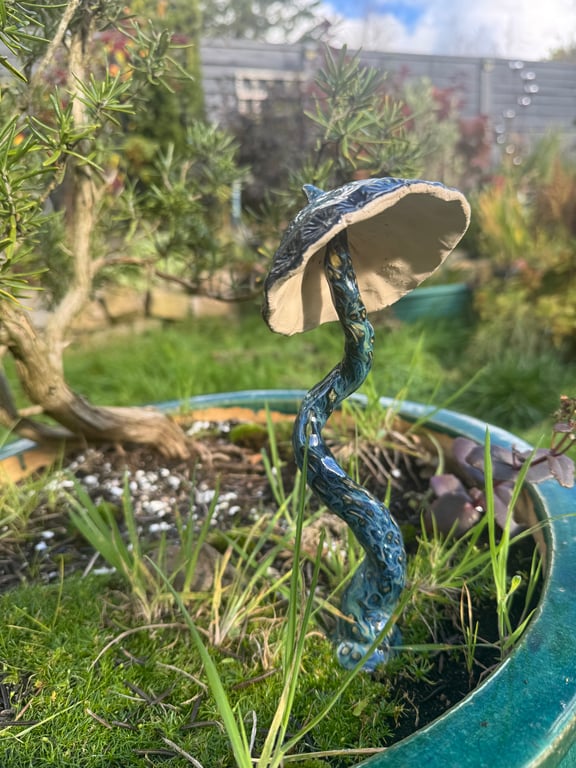 Twisty starry night mushroom 