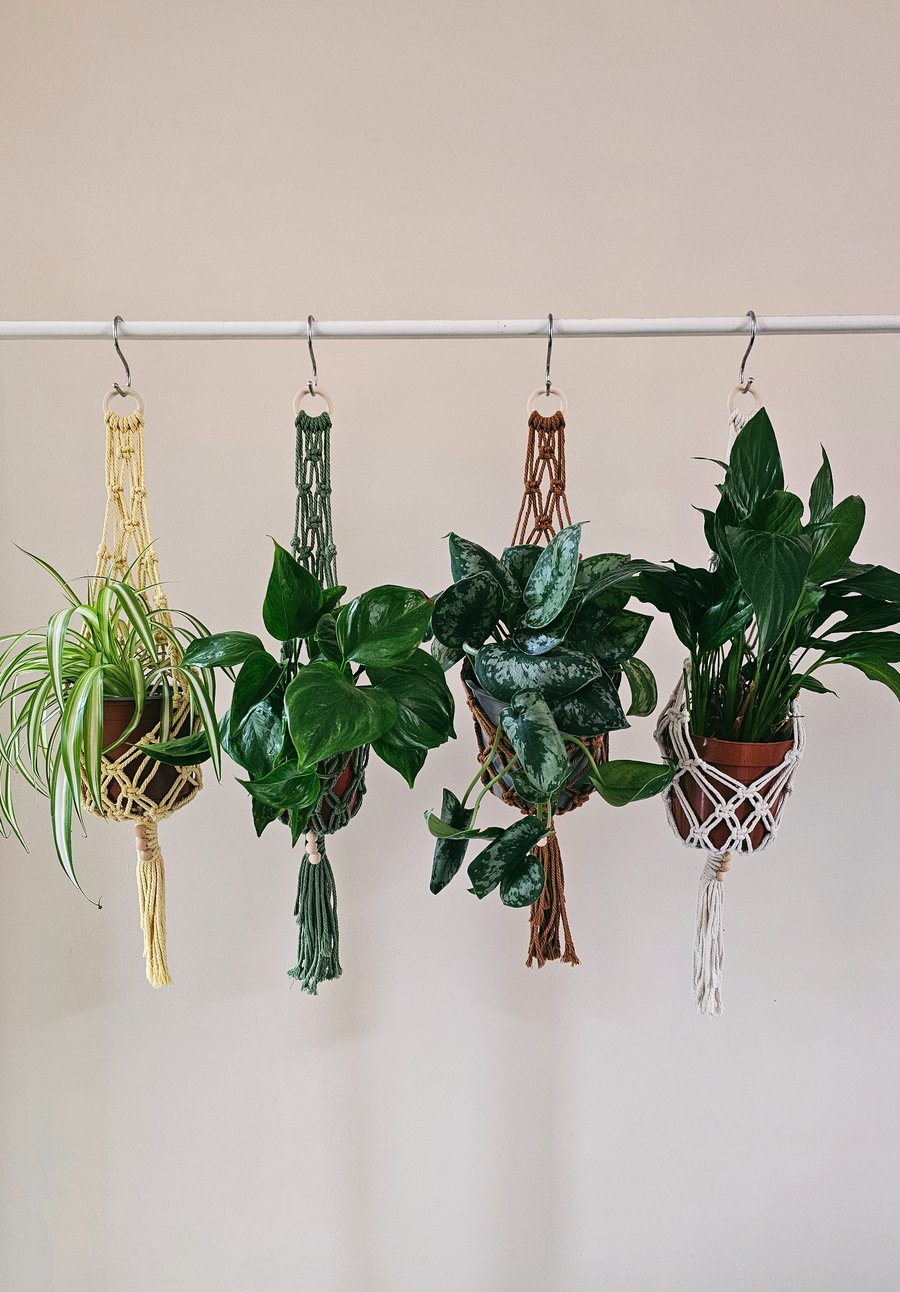Pastel Multi-Colour Macrame Plant Hanger – 60cm Handcrafted Plant Hanger 