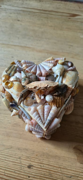 Shell box 