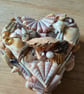 Shell box 